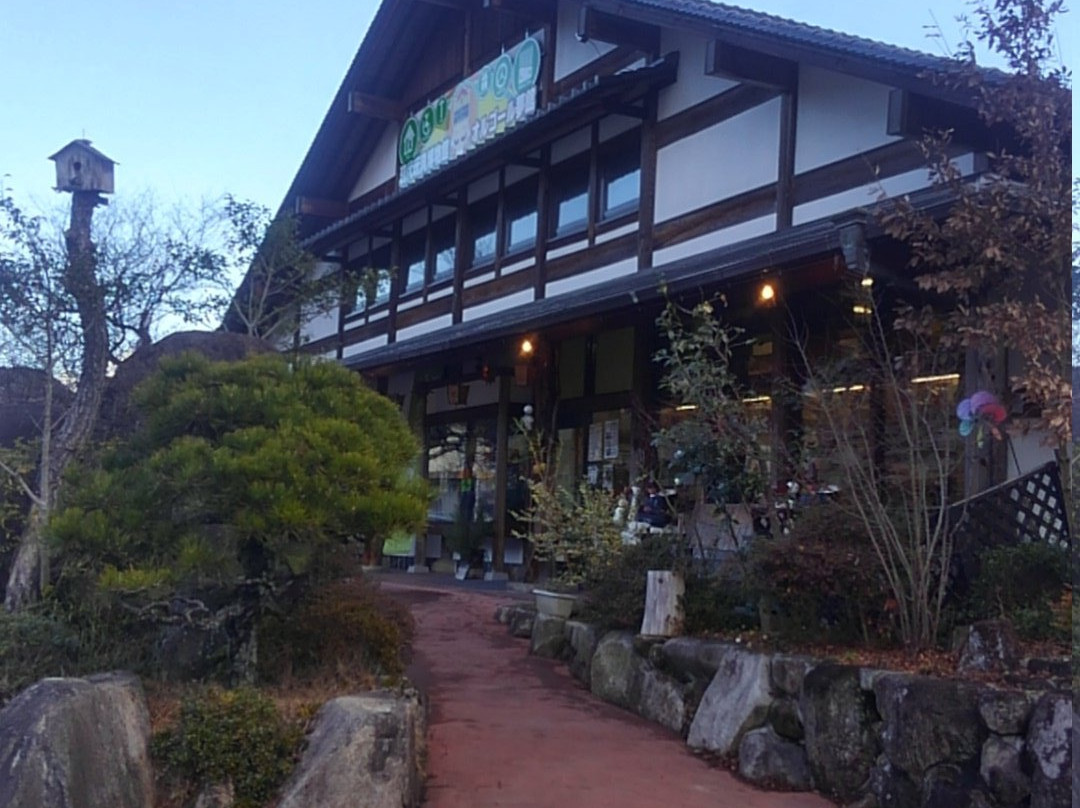 Japan Museum of Contemporary Toy & Hall of Music Box-美作市必去景点