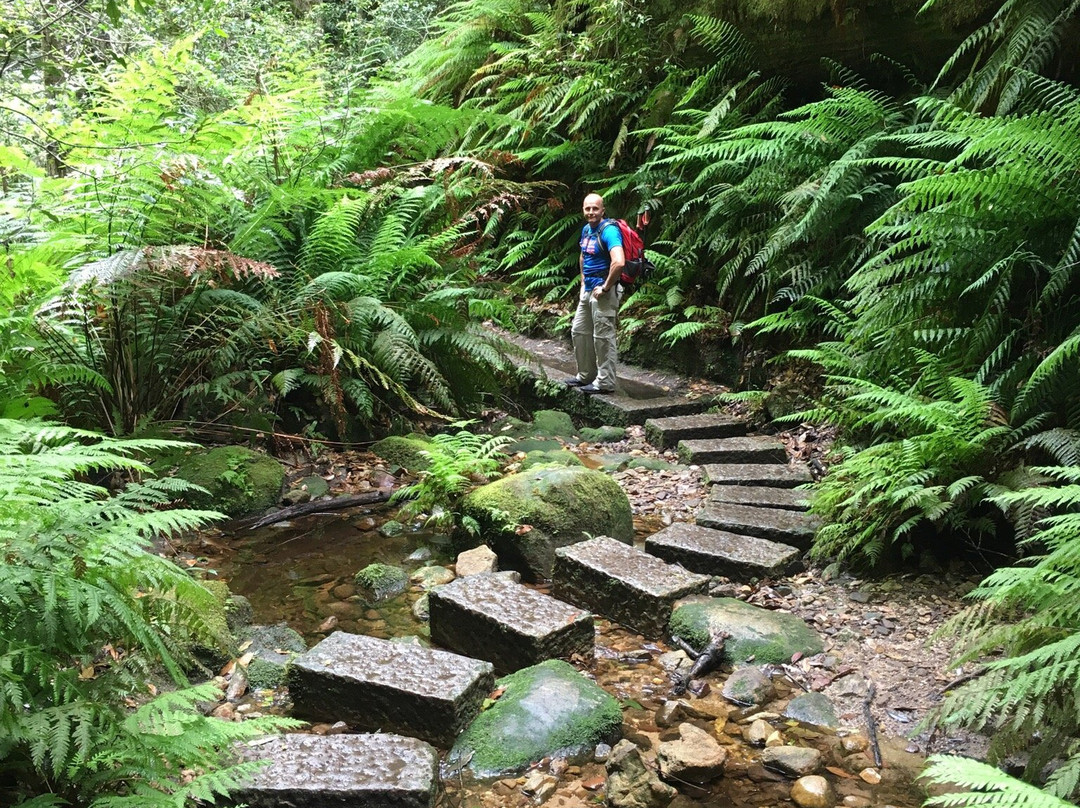 Auswalk Walking Holidays-墨尔本必去景点