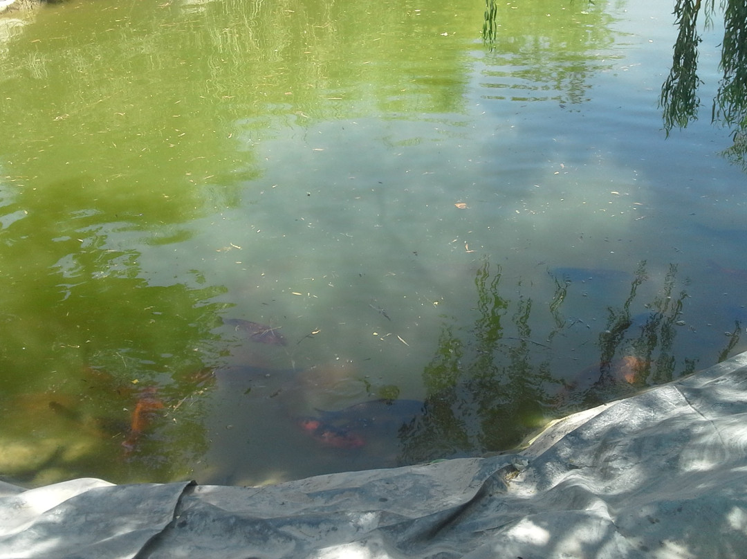 Granja Organica Tia Nora景点图片
