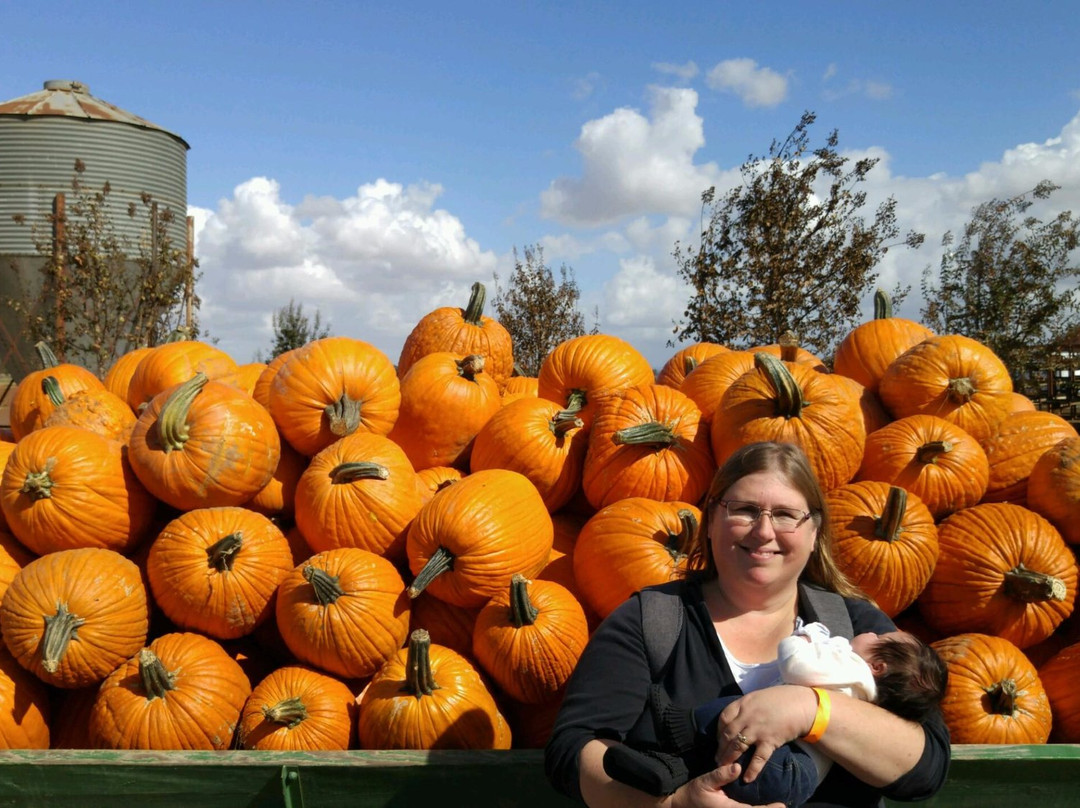 Bishop's Pumpkin Farm-Wheatland必去景点