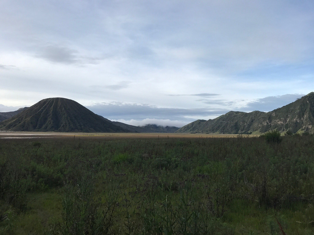 Javana Volcano Tour景点图片