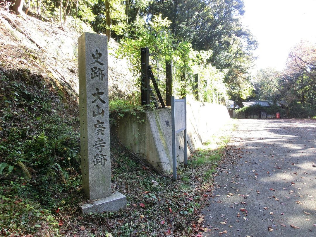 Oyama Ruined Temple景点图片