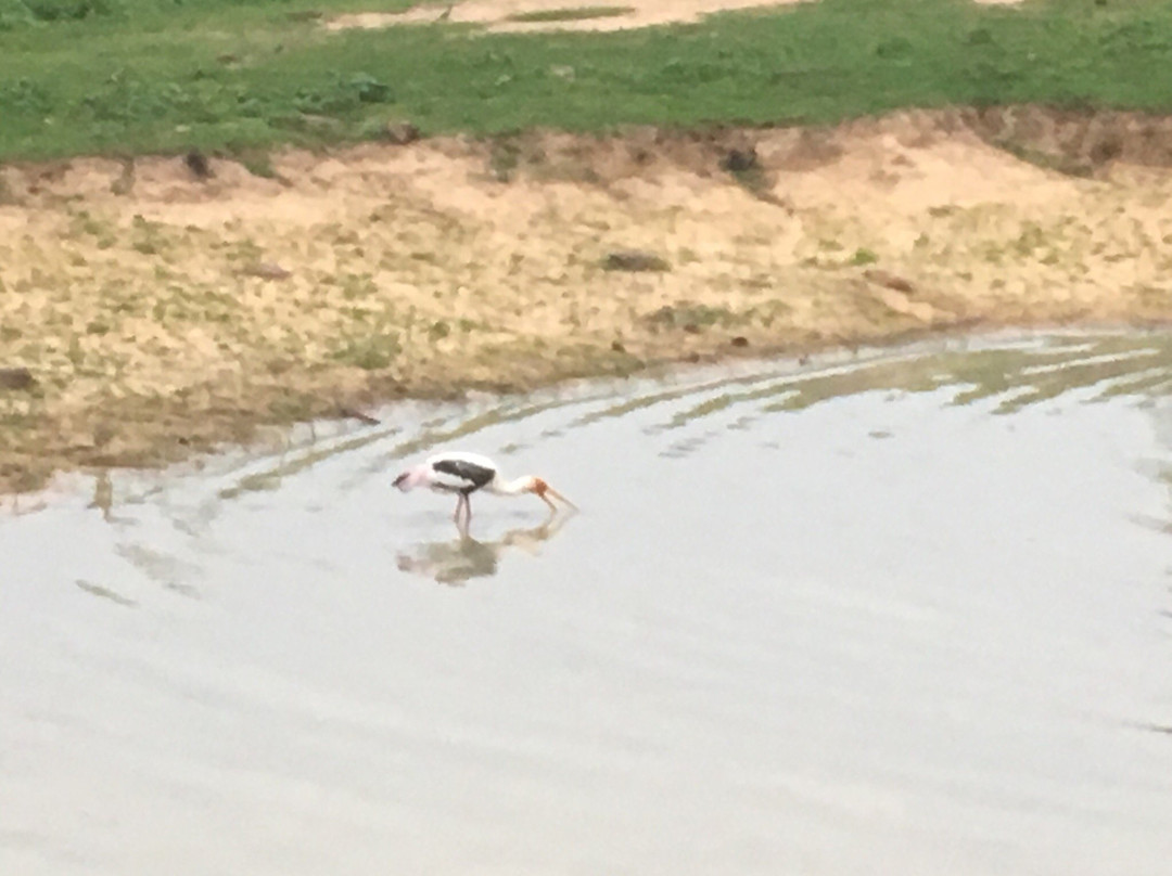 Hema Safari-蒂瑟默哈拉默必去景点
