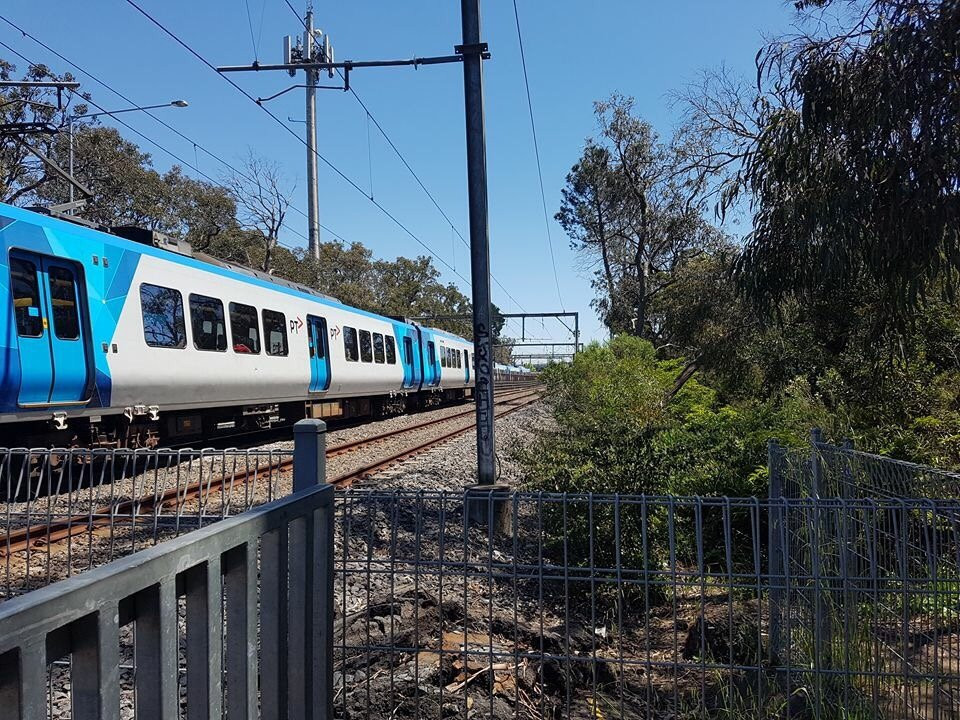 Blind Creek Trail-旺加拉塔必去景点