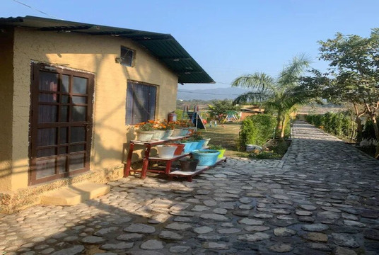 Rosetree Wild Trail Resort- Rajaji National Park Rishikesh