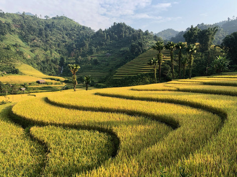 越南私人导游-胡志明市必去景点