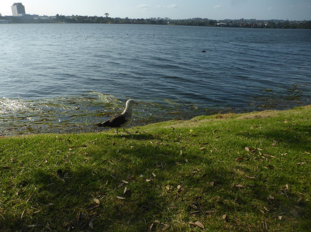 Lake Pupuke景点图片