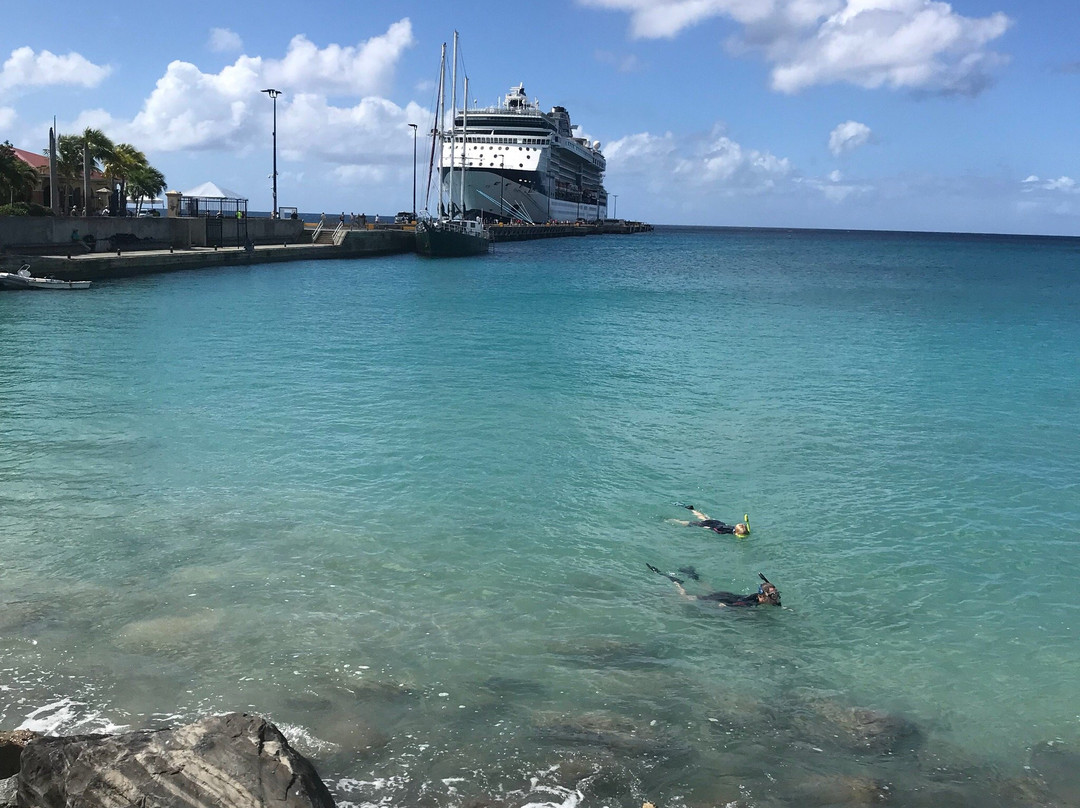 Fort Frederik Beach-Frederiksted必去景点