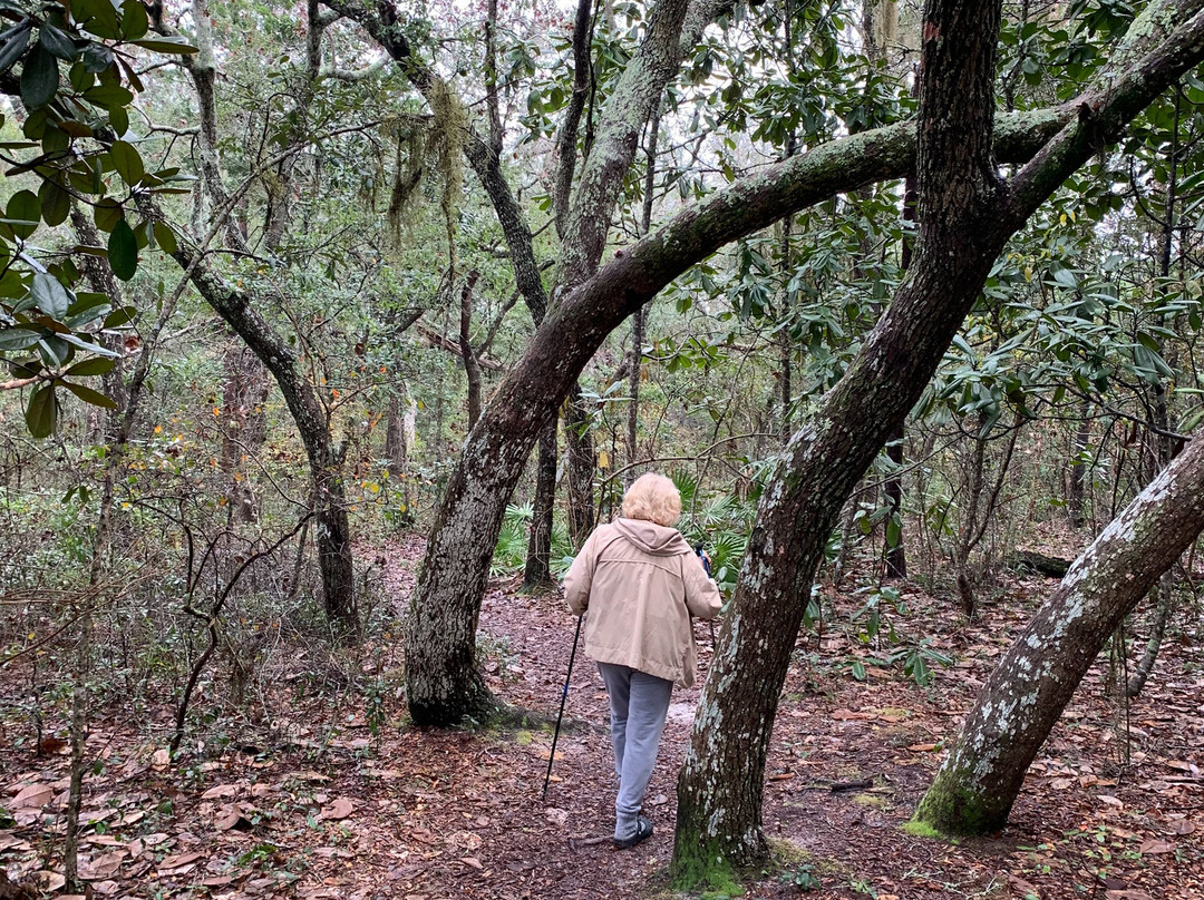 Oak Tree Nature Park-Mary Esther必去景点