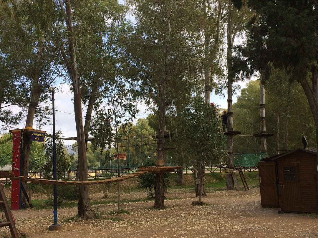 Musei旅游景点-Koala Park