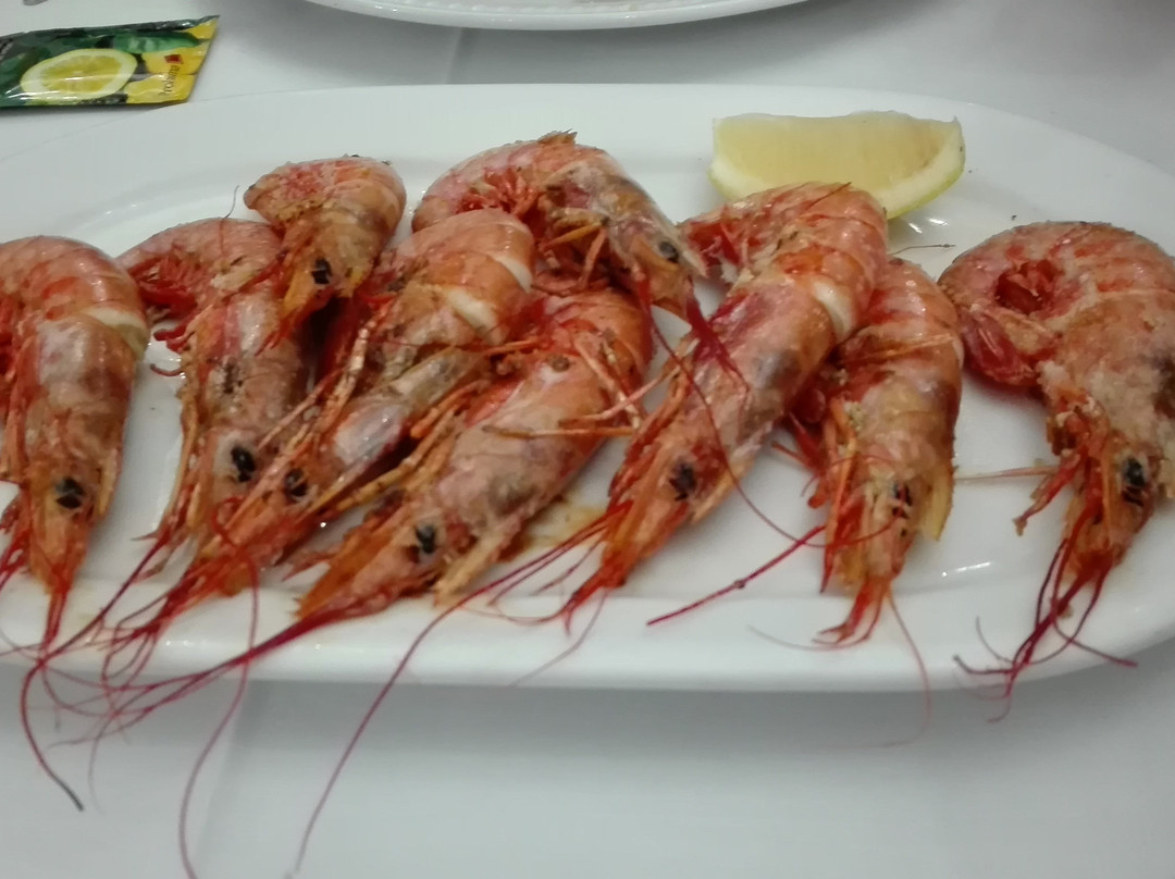 圣马丁德拉维加餐馆和美食-El Tratado