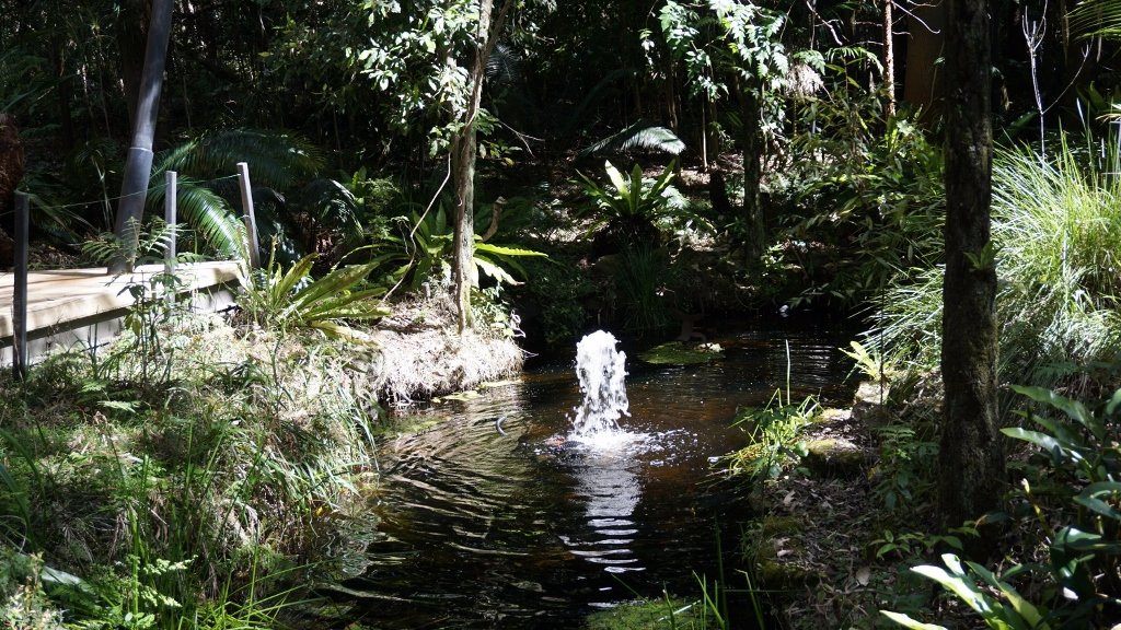 Stony Range Regional Botanic Garden景点图片