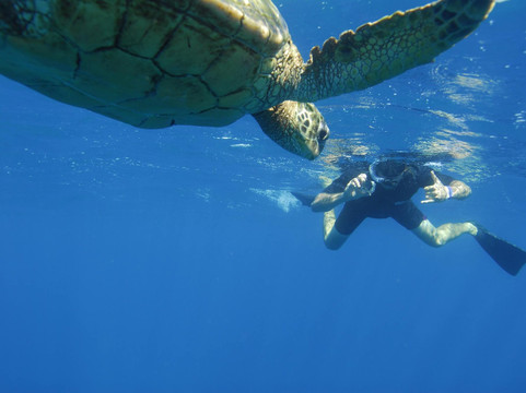 Z Tourz-可洛亚必去景点