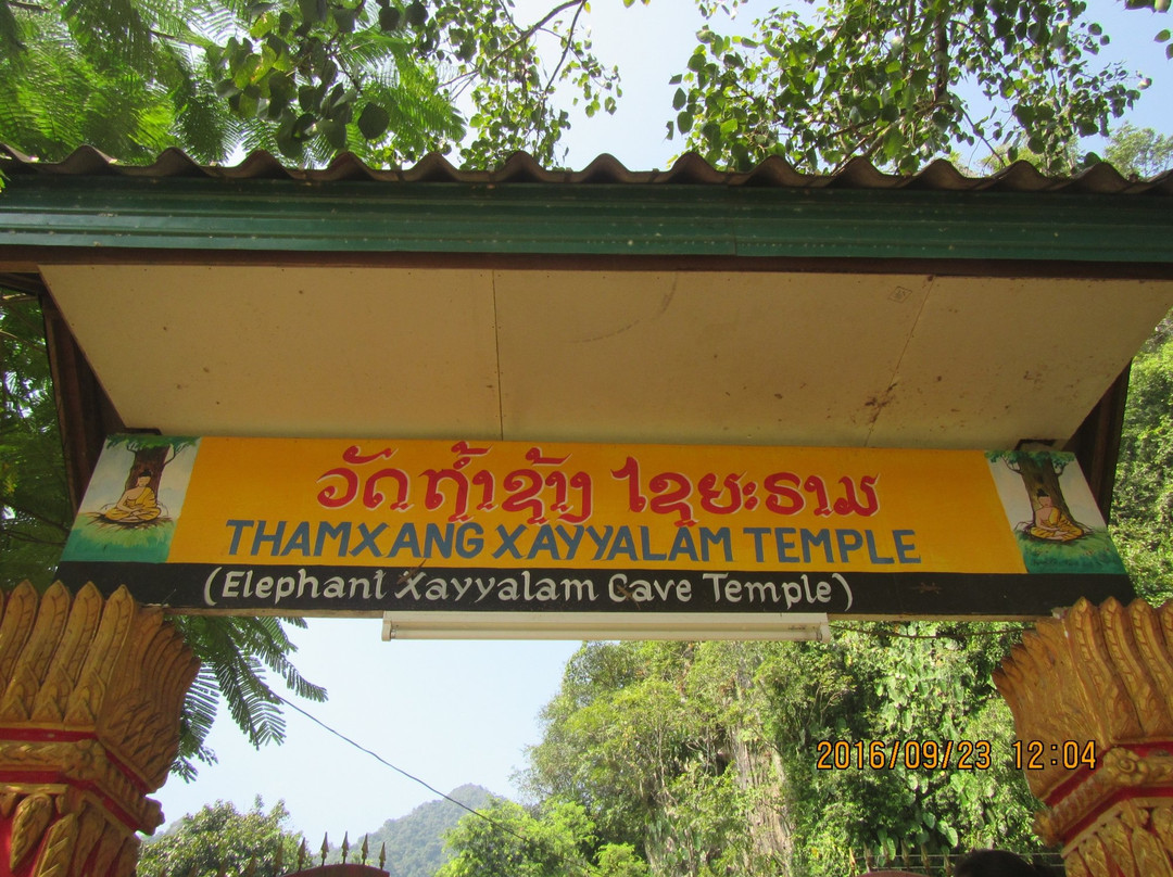 Tham Xang (Elephant Cave)-旺阳必去景点