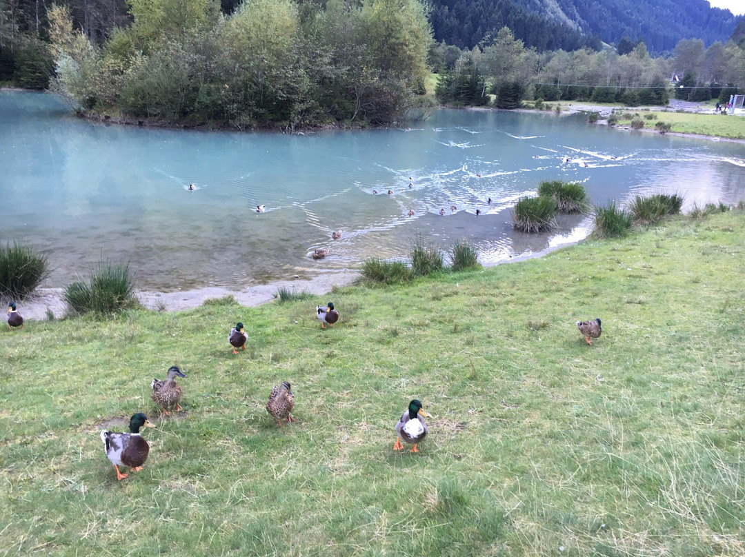 Kid's Park Klaus Äuele-纽斯帝史都拜谷必去景点