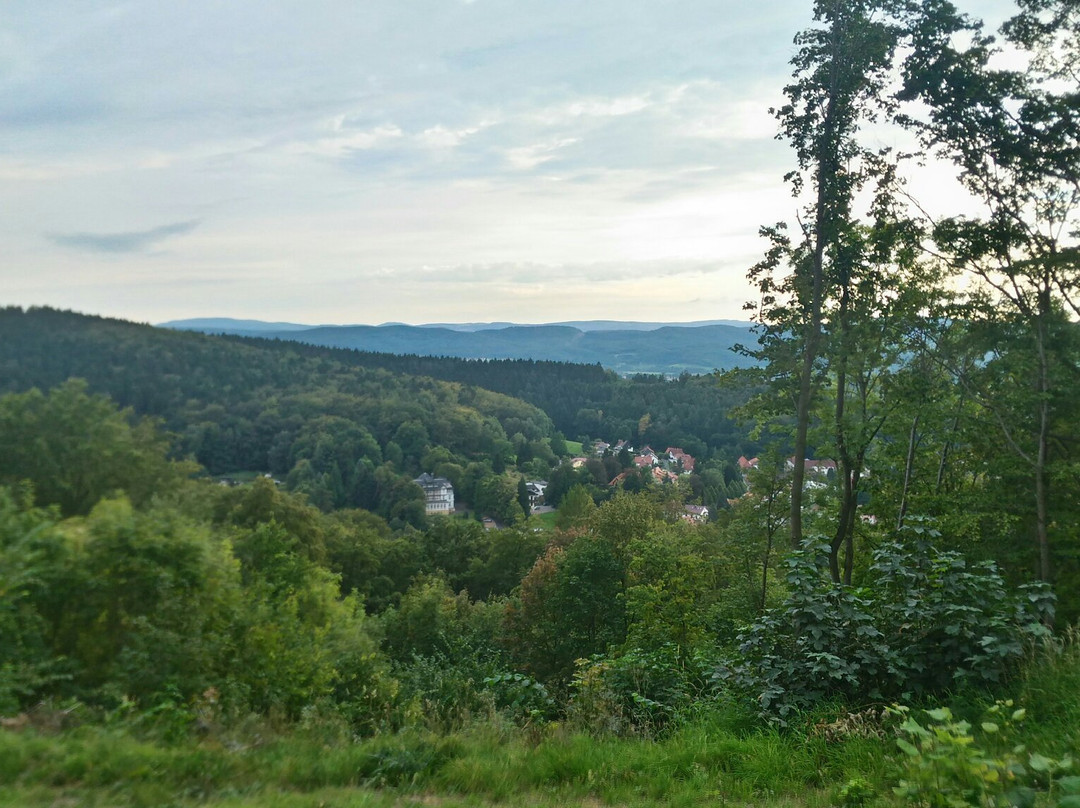 Burgruine Liebenstein景点图片