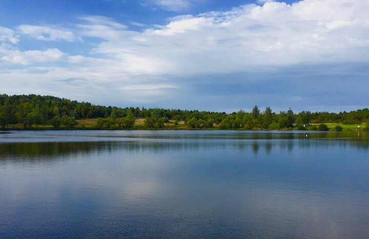 Parc Bryn Bach景点图片
