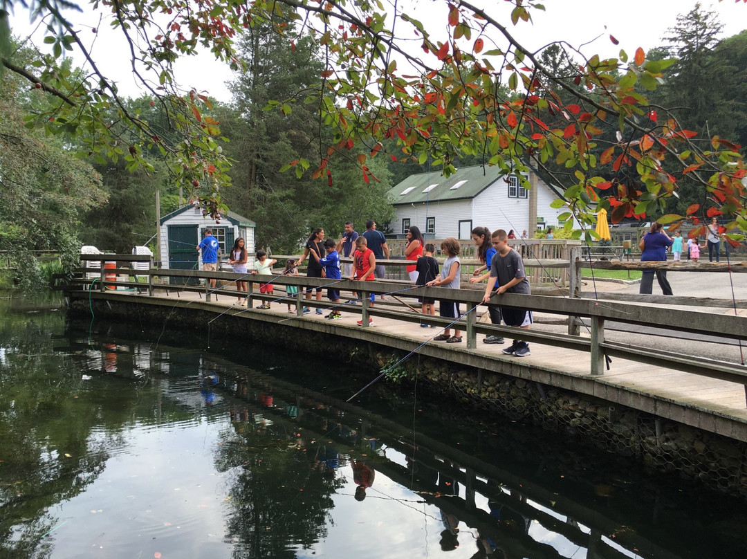 Cold Spring Harbor Fish Hatchery & Aquarium-Cold Spring Harbor必去景点