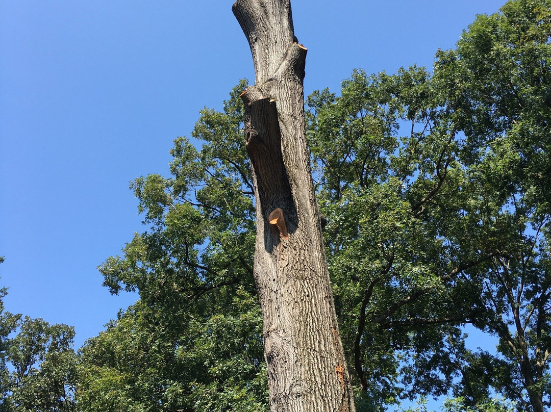 Walter Y. Elisha Park-米尔堡必去景点