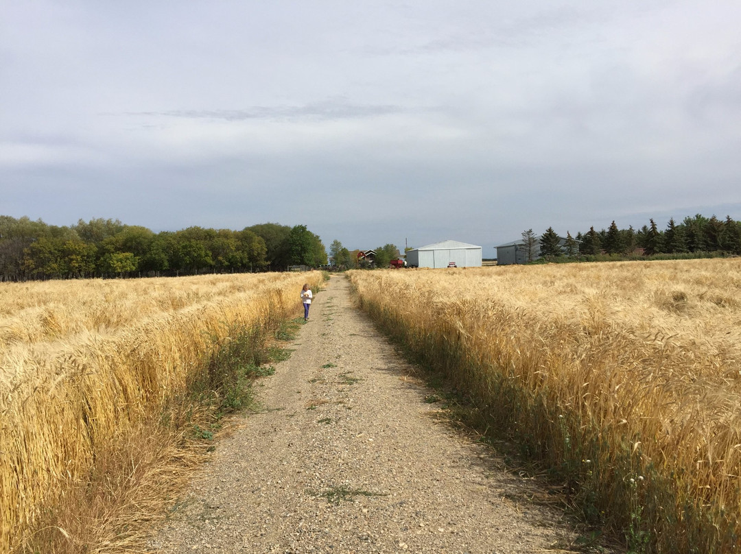 Motherwell Homestead National Historic Site-Abernethy必去景点