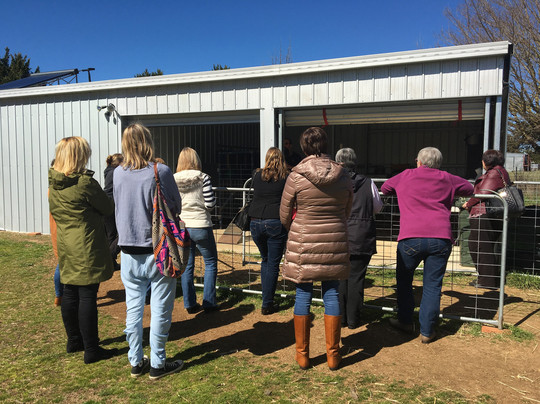 Sunhill Dairy Goats-Uralla必去景点