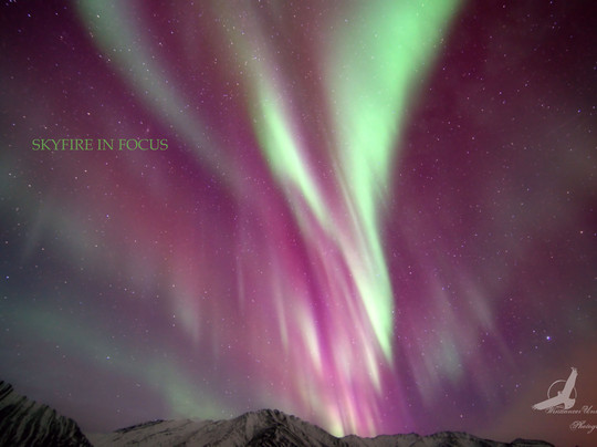 SkyFire In Focus Tours-费尔班克斯必去景点