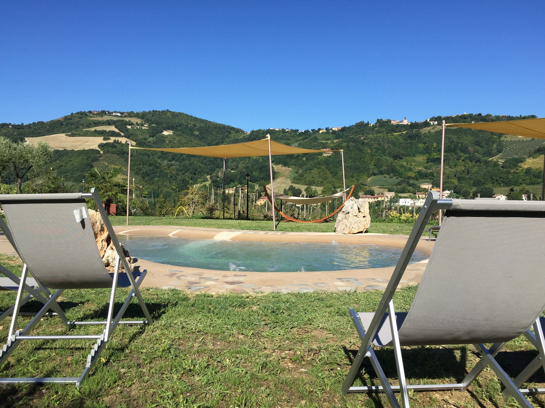 Sant'Angelo in Lizzola酒店住宿-Locanda Montelippo