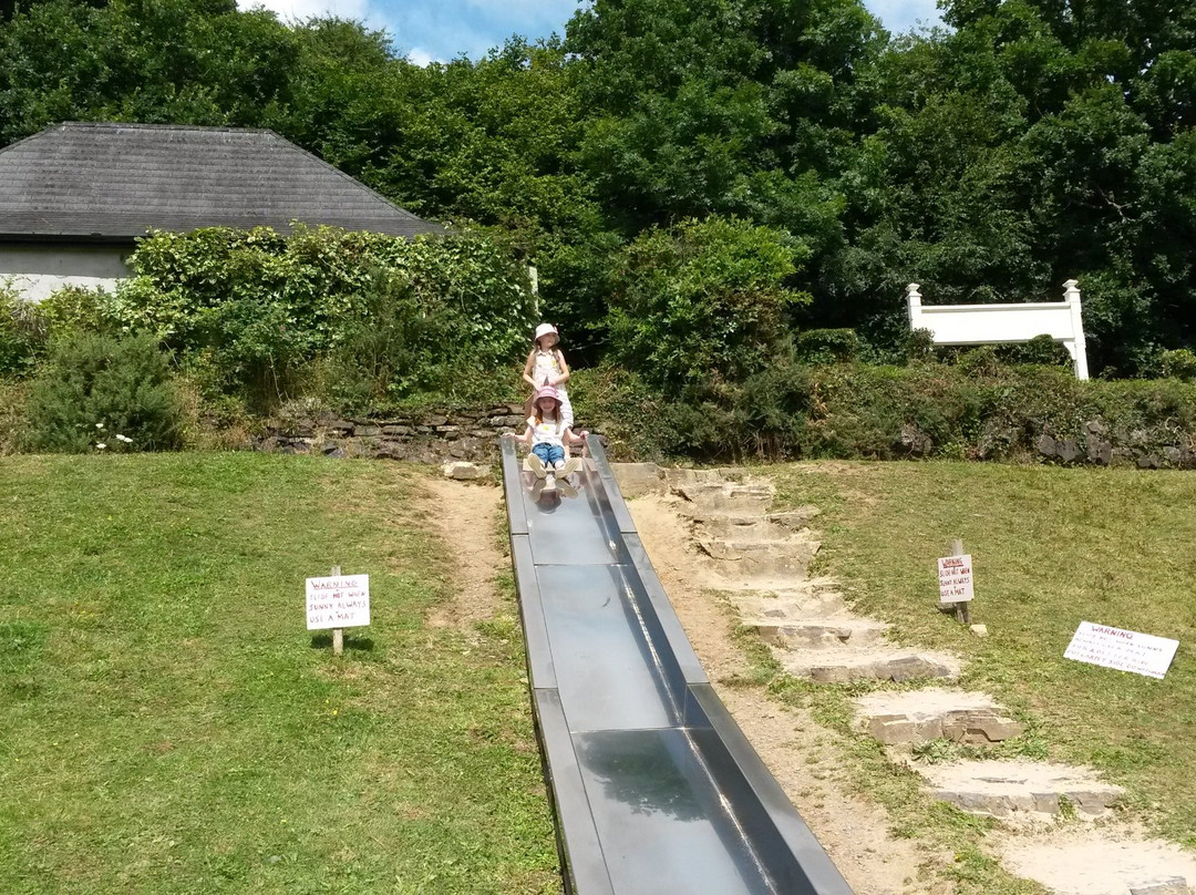 New Mills Farm Park景点图片