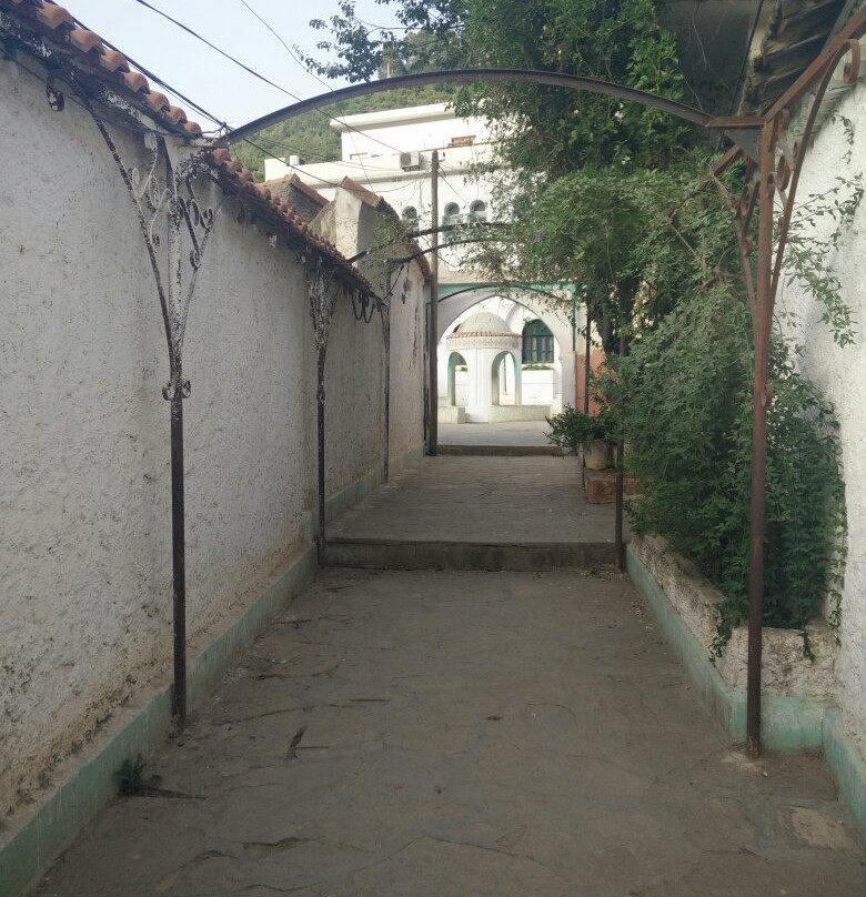 Mausolée de Sidi Elkebir景点图片