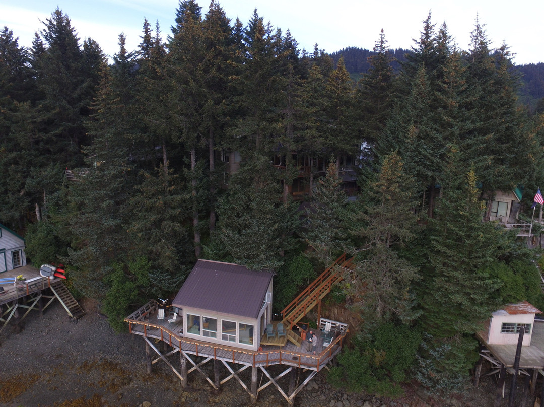 Seldovia Bed & Breakfast and Cabin Rental主图