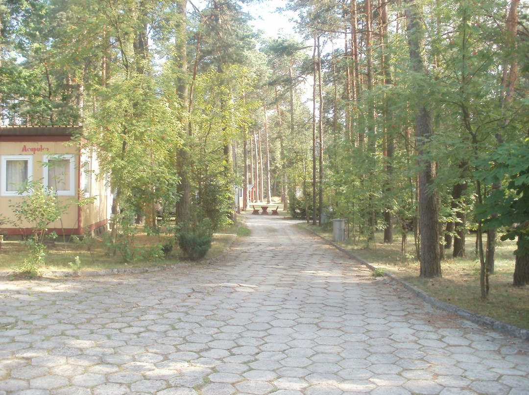 Camping Susiec