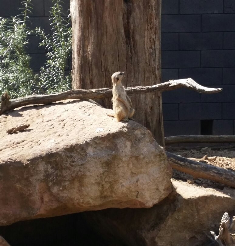 Tierpark Alsdorf景点图片