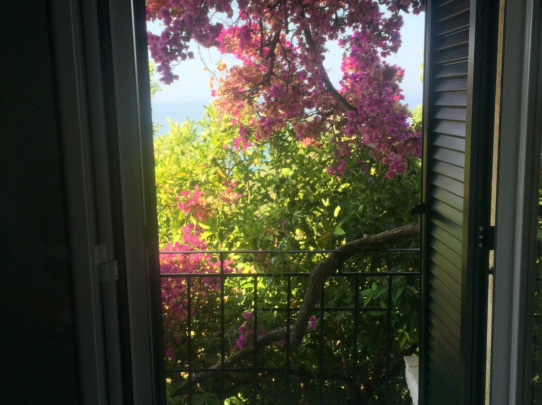 Thalassino Trifilli主图