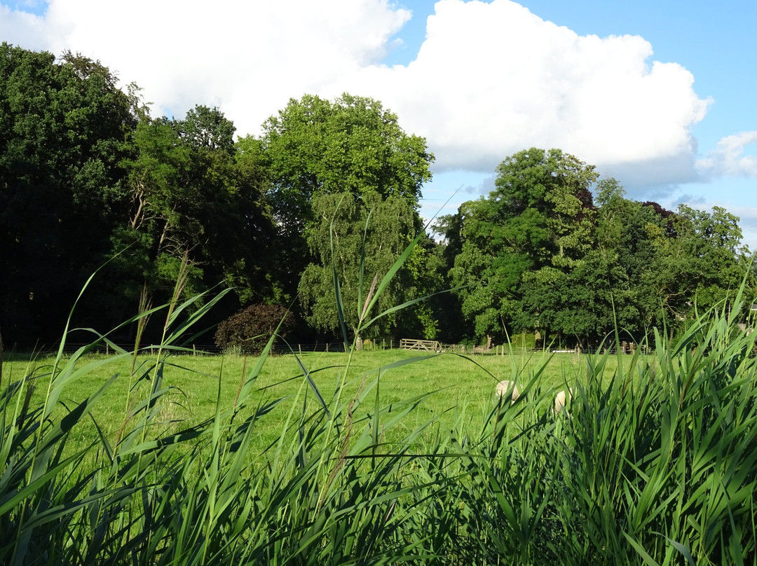 Goudestein-马尔森必去景点