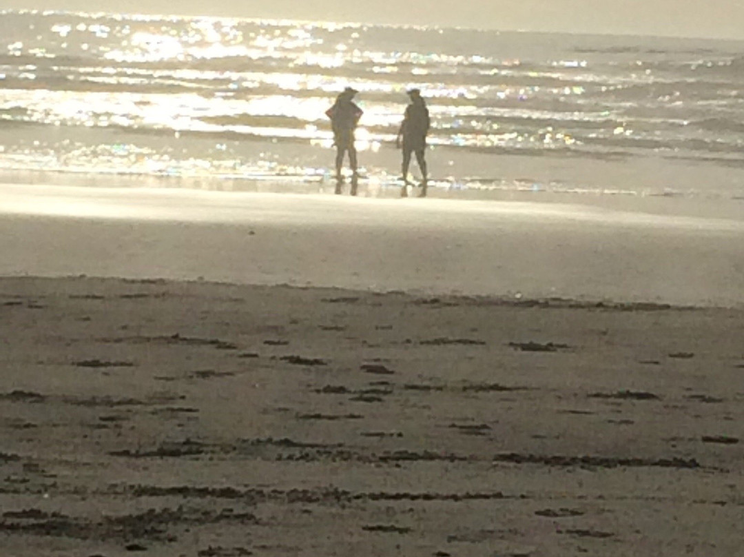 Beachside State Recreation Area-Waldport必去景点