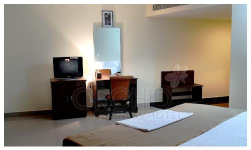 Rcr Orchid Business Hotel主图
