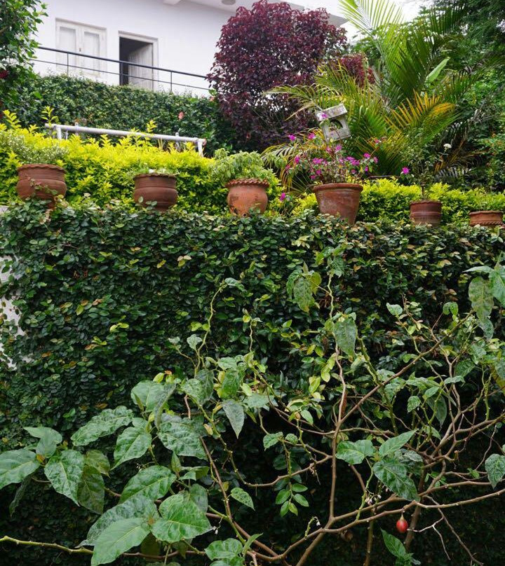 Bearcountry Resorts主图