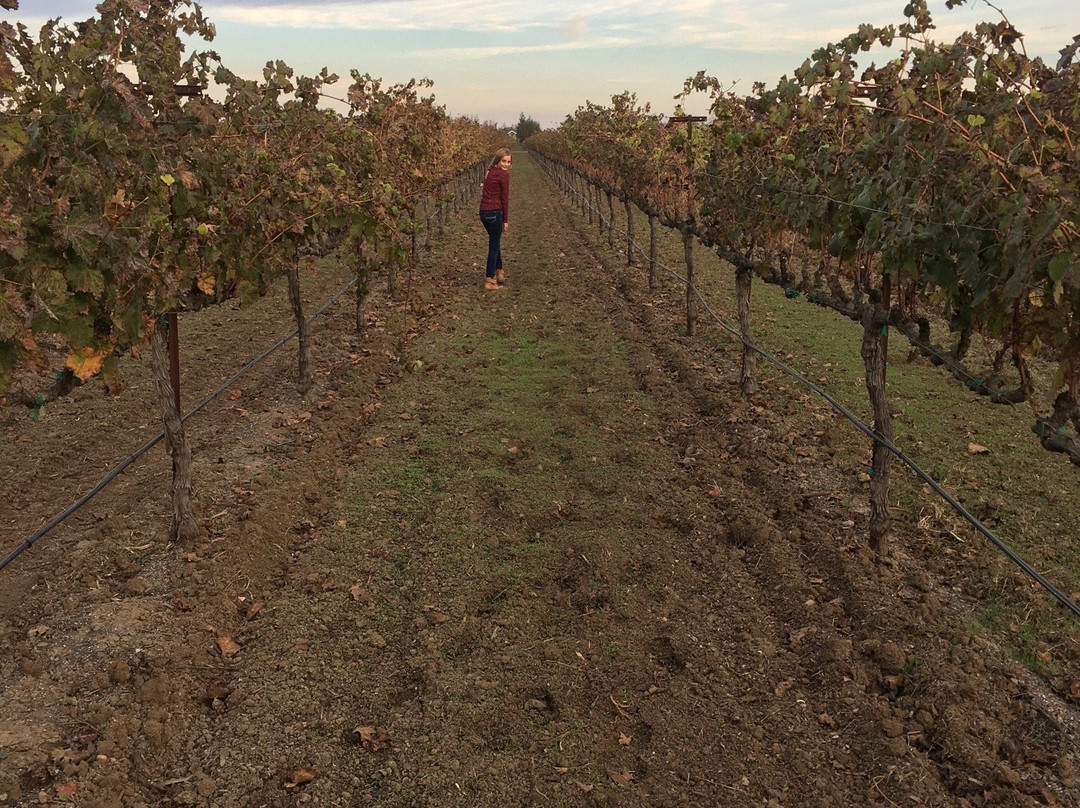 Hannah Nicole Vineyards-Brentwood必去景点