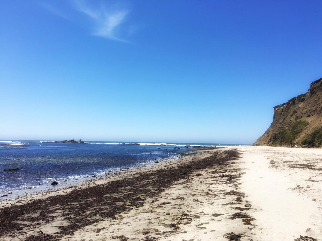 Mavericks Beach-半月湾必去景点