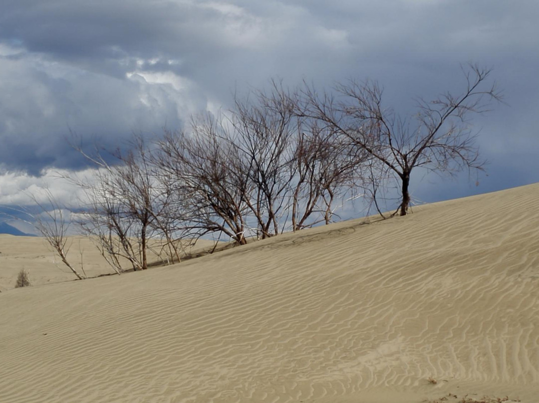 Charskiye Sands-Novaya Chara必去景点