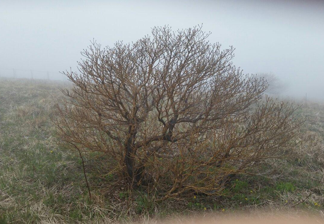 Punggi Tourist Hotel主图