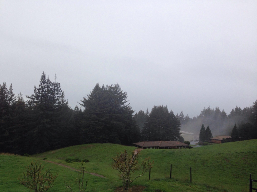 Sankat Mochan Hanuman Temple-沃森维尔必去景点