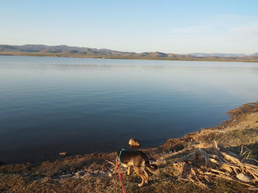 Balmorhea旅游攻略图片