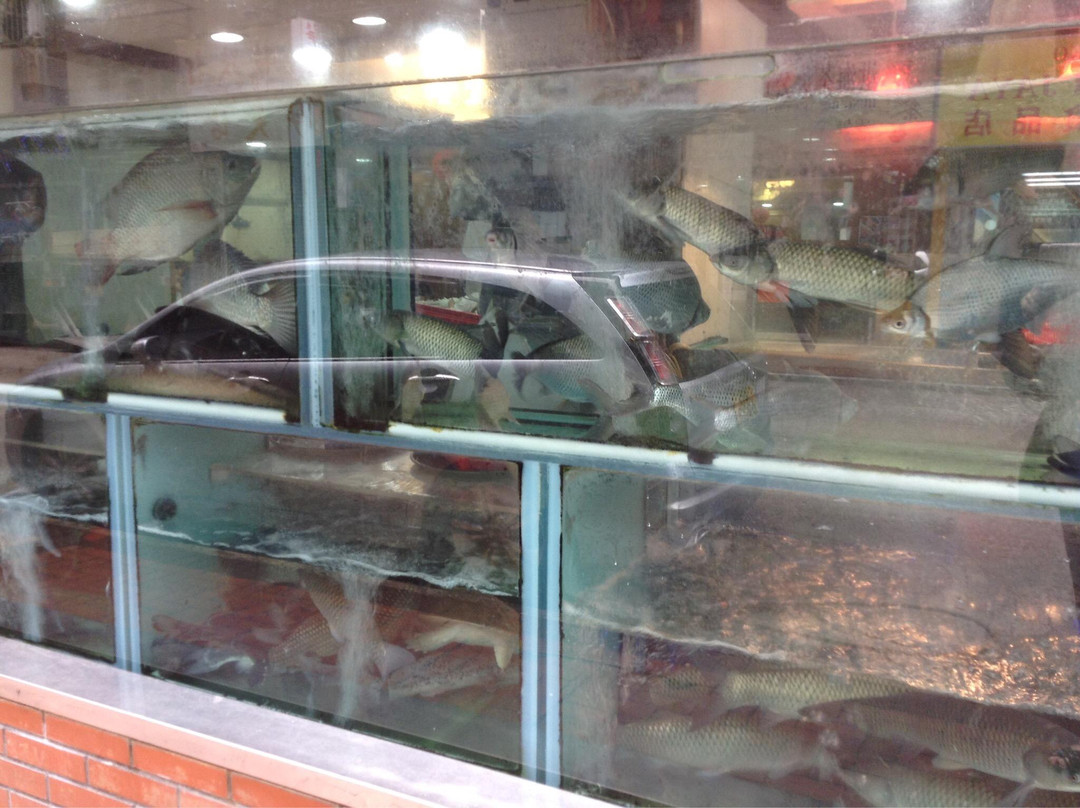 香港点心嚐-香港必去景点