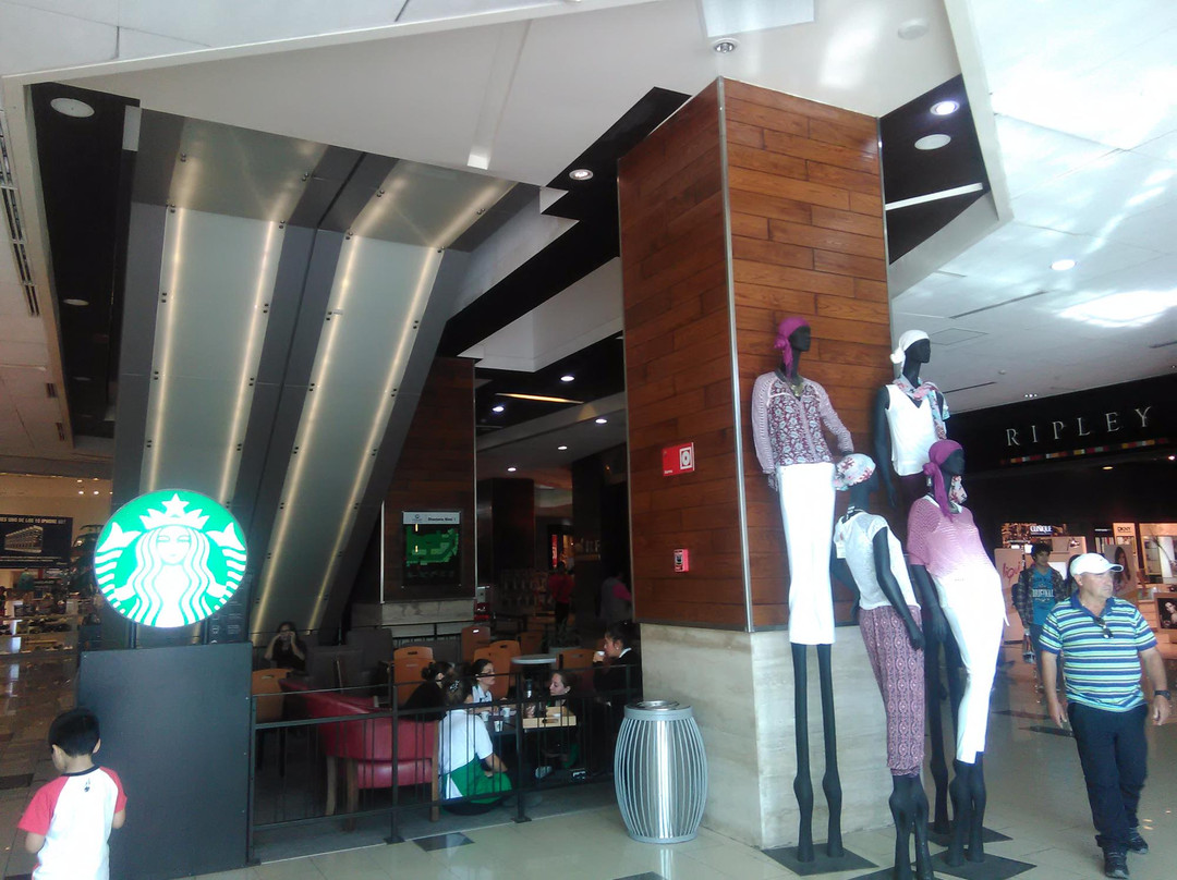 Mall del Centro Concepción-康塞普西翁必去景点