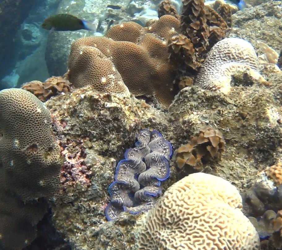 Lighthouse Bay-涛岛必去景点