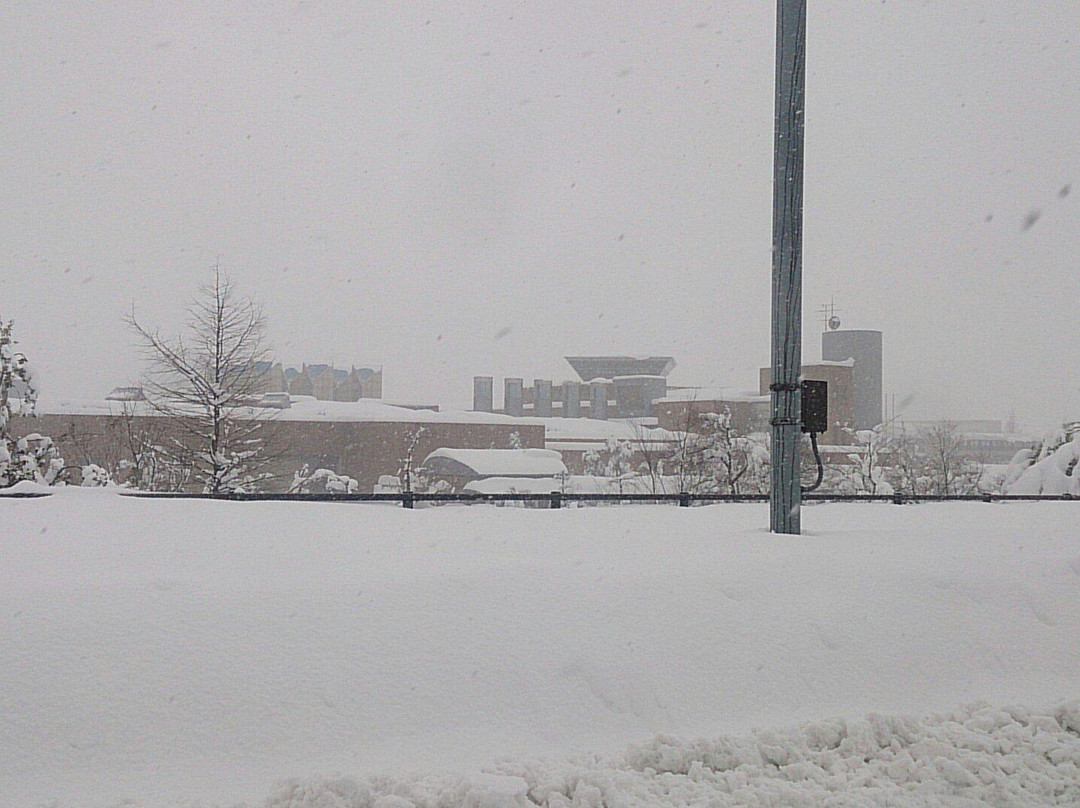 Niigata Prefectural Museum of Modern Art-长冈市必去景点