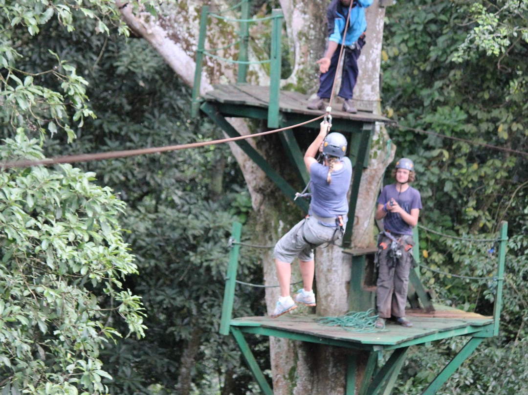 Griffin Falls-金贾必去景点