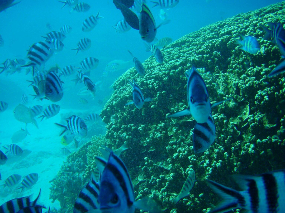 Seawalker Tours-Piti必去景点