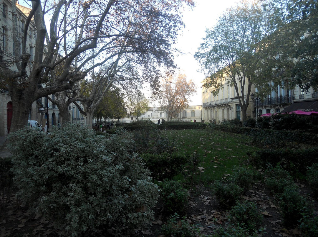 Place de la Canourgue-蒙彼利埃必去景点